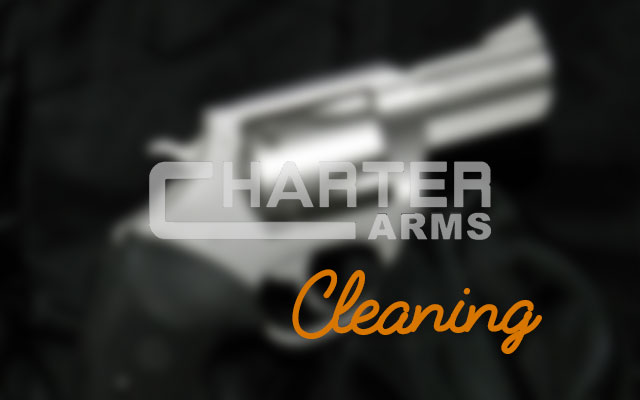 Charter Arms Undercover cleaning